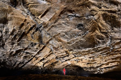 Grotte préhistorique de Bédeilhac (Ariège) - Vue d'ensemble du plafond karstifié dans la galerie principale (SP-22-2281)