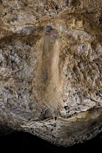 Grotte préhistorique de Bédeilhac (Ariège) - Phallus sculpté sur une paroi(SP-22-2312)