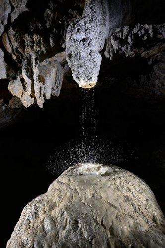 Grotte préhistorique de Bédeilhac (Ariège) - Le bénitier : une importante stalactite avec un large canal central forme a donné naissance à une stalagmite massive comprenant à son sommet une petit vasque  (SP-22-2347)