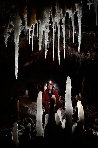 Grotte de la Devèze (Hérault) - Partie aménagée - Ensemble de stalactites et stalagmites translucides dans la salle Georges Milhaud(SP-22-2374)