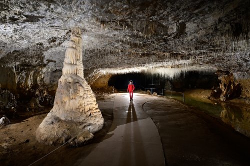 Grotte de Choranche (Isère) - Partie touristique : colonne au début de la galerie des fistuleuses(SP-23-0199)
