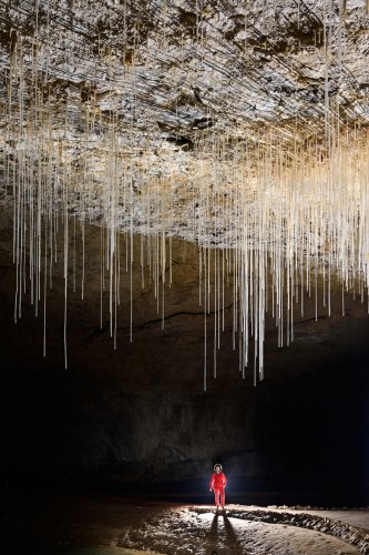 Grotte de Choranche (Isère) - Partie touristique : fistuleuses dans la salle du lac(SP-23-0238)