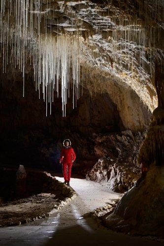 Grotte de Choranche (Isère) - Partie touristique : fistuleuses au retour de la galerie Serpentine(SP-23-0242)