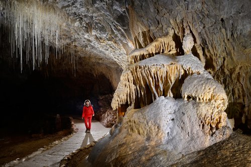 Grotte de Choranche (Isère) - Partie touristique : concrétion massive de calcite au retour de la galerie Serpentine(SP-23-0249)