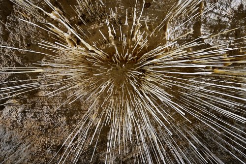 Grotte de Choranche (Isère) - Partie touristique : fistuleuses vues de dessous(SP-23-0256)