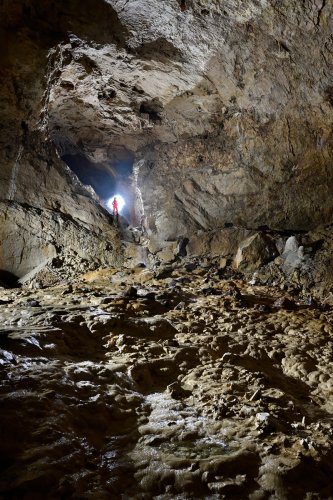 Grotte de Choranche (Isère) - Partie touristique : salle de la Cathédrale(SP-23-0259)