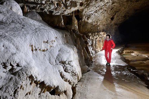 Grotte de Choranche (Isère) - Partie touristique : coulées de calcite blanche au départ de la galerie Serpentine(SP-23-0300)