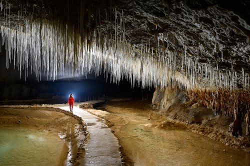 Grotte de Choranche (Isère) - Partie touristique : fin du parcours sous les fistuleuses(SP-23-0309)