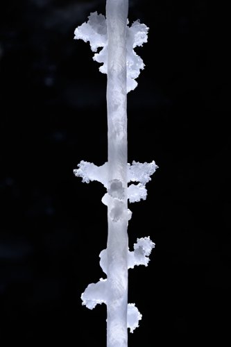 Colonel cave (Mont Sodome, Israël) - Détail d'une stalactite de sel avec de petites excentriques (SP-23-0810)