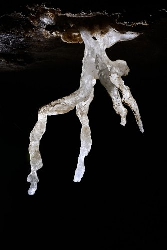Salt cave (Mont Sodome, Israël) - excentrique de sel(SP-23-0860)