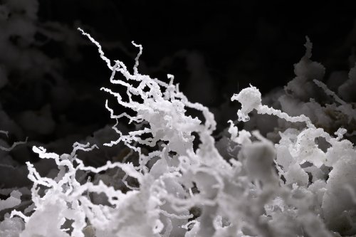 Malham cave (Mont Sodome, Israël) - Ces minuscules excentriques de sel  (centimétriques) ont été formées par le vent au sol d'une galerie.(SP-23-0870)