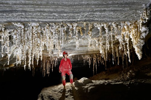 Malham cave (Mont Sodome, Israël) - Rideau de stalactites de sel avec le plafond strié(SP-23-0878)