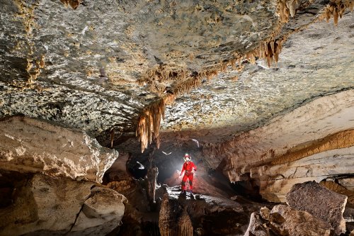 Caverna Paraiso (Para, Brésil) - Galerie avec stalactites au plafond et spéléo perché regardant chauves-souris en vol(SP-23-1089)