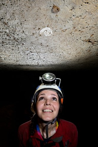 Caverna Paraiso (Para, Brésil) - Spéléo regardant un fossile d'amonite au plafond(SP-23-1116)