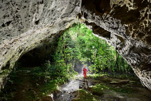 Caverna do Lucas (Para, Brésil) - Porche d'entrée vu de l'intérieur avec spéléo et forêt en fond. (SP-23-1164)