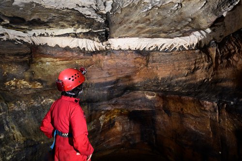 Caverna do Lucas (Para, Brésil) - Spéléo devant les marques fossiles de griffades de paresseux géant (SP-23-1201)