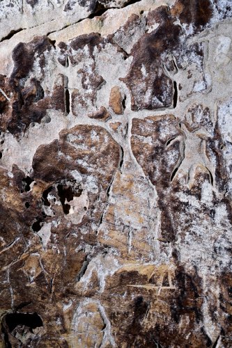 Caverna das Maos (Para, Brésil) - Gravures préhistoriques sur une paroi (femme)(SP-23-1291)