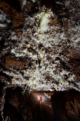 Grotte du Charbon (Hérault) - Salle au plafond concrétionné.(SP-23-1410)