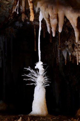 Grotte du Charbon (Hérault) - La "mariée" : petite stalagmite ornée d'aiguilles d'aragonite (SP-23-1418)