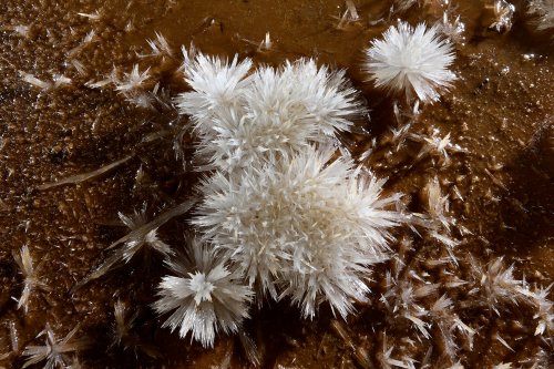 Grotte du Charbon (Hérault) - Petits cristaux d'aragonite  au fond d'un gour(SP-23-1421)