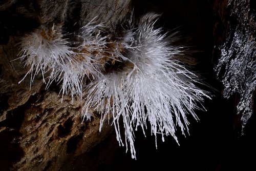 Grotte du Charbon (Hérault) - Gros bouquet d'aragonite aciculaire en contre jour(SP-23-1424)