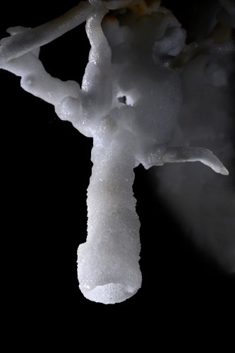 Grotte du Charbon (Hérault) - Détail d'une fistuleuse d'aragonite tubulaire (SP-23-1429)