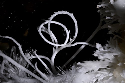 Très jolie petite cavité de l'Hérault avec ses salles finales couvertes d'aragonite