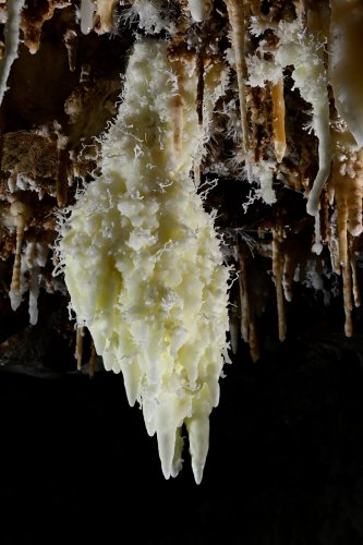 Grotte du Charbon (Hérault) - Stalactite  massive d'aragonite  jaune pale(SP-23-1440)