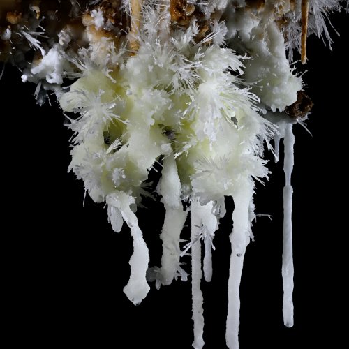 Grotte du Charbon (Hérault) - Ensemble de stalactites d'aragonite(SP-23-1450)