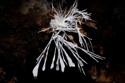 Grotte du Charbon (Hérault) - Bouquet d'aiguilles d'aragonite (SP-23-1451)