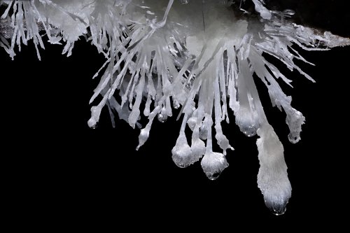 Grotte du Charbon (Hérault) - Bouquet d'aiguilles d'aragonite (SP-23-1453)