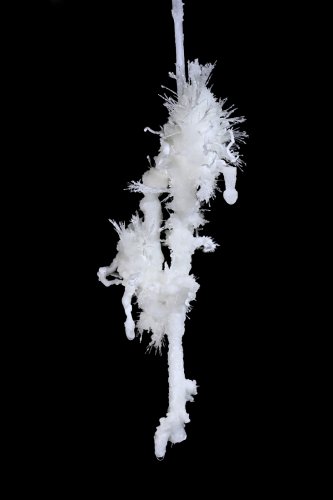 Grotte du Charbon (Hérault) -  Bouquet d'excentriques à l'extrémité d'une fistuleuse(SP-23-1454)