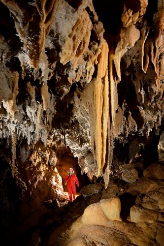 Grotte du Gard - Spéléo derrière grande pendeloque(SP-23-1469)