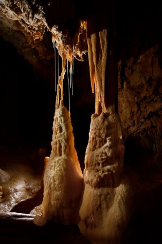 Grotte du Gard - Colonnes avec fistuleuses (contre-jour)(SP-23-1470)