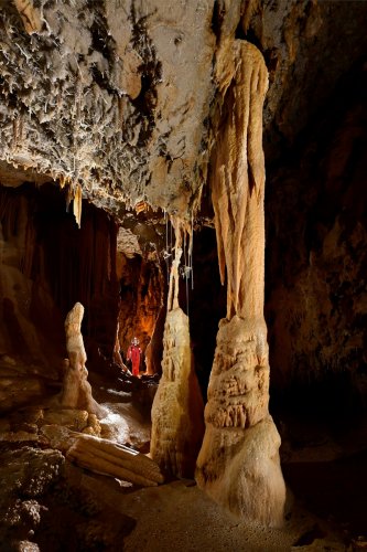 Grotte du Gard - Colonnes avec fistuleuses avec spéléo dans porte en arrière plan(SP-23-1476)