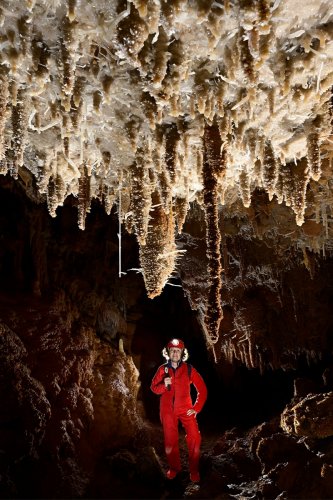 Grotte du Gard - Spéléo sous un plafond couvert de stalactites et d'excentriques blanches.(SP-23-1482)