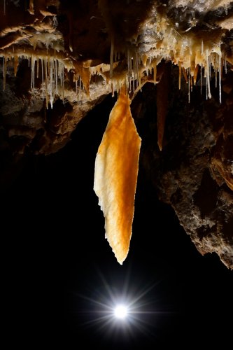 Grotte du Gard - Grande stalactite-draperie pendant au plafond d'une salle ( éclair de flash contre-jour visible  en bas)(SP-23-1489)