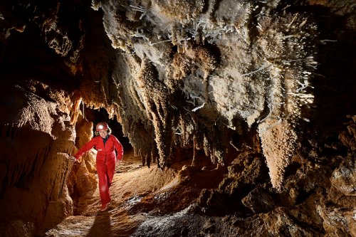 Grotte du Gard - Spéléo dans galerie concrétionnée avec stalactites et excentriques sur les parois (SP-23-1494)