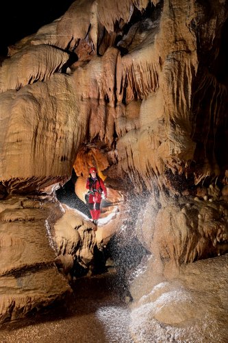 Grotte de l'Olivier (Lot) - Spéléo  au milieu de grandes coulées de calcite arrosées(format vertical)(SP-23-1783)