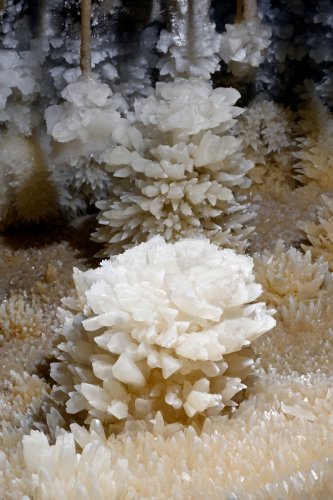 Grotte de l'Aguzou (Aude) - Fleur constituée de cristaux de calcite (massues en arrière plan) (SP-24-0720)