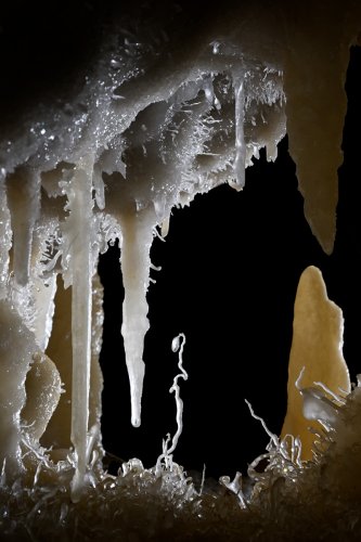 Grotte de l'Aguzou (Aude) - Petite excentrique verticale ("la gitane") : vue rapprochée(SP-24-0735)