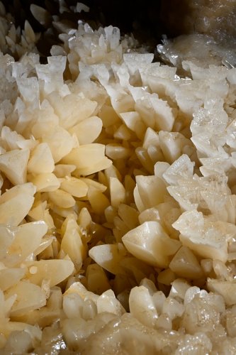 Grotte de l'Aguzou (Aude) - Détail de cristaux de calcite dans un gour(SP-24-0753)
