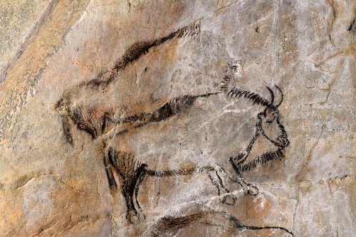 Grotte de Niaux (Ariège) - Salon noir : bisons(SP-24-0847)
