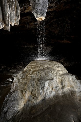 Grotte préhistorique de Bédeilhac (Ariège) - Le bénitier : une importante stalactite avec un large canal central forme a donné naissance à une stalagmite massive comprenant à son sommet une petit vasque  (SP-24-0886)