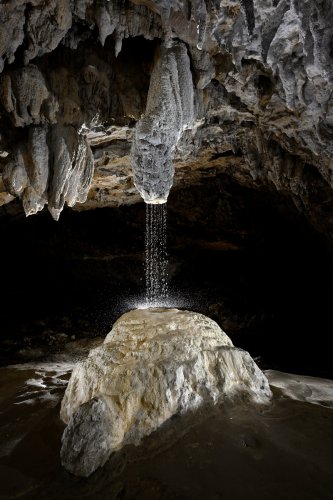 Grotte préhistorique de Bédeilhac (Ariège) - Le bénitier : une importante stalactite avec un large canal central forme a donné naissance à une stalagmite massive comprenant à son sommet une petit vasque  (SP-24-0887)