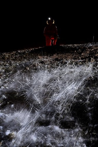Grotte de Geophysicheskaya (Turkménistan) - Tapis d'aiguilles de gypse au sol avec personnage en arrière plan.(SP-24-1072)