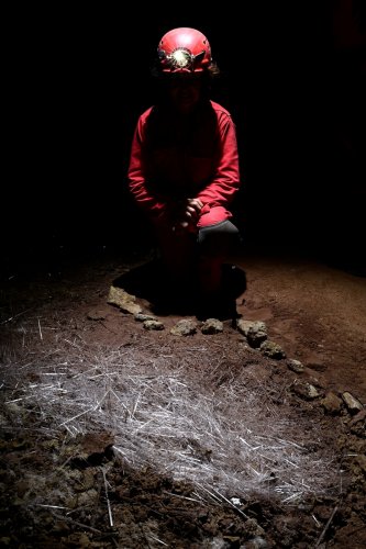 Grotte de Geophysicheskaya (Turkménistan) - Personnage en silhouette regardant des aiguilles de gypse au sol (balisage)(SP-24-1091)