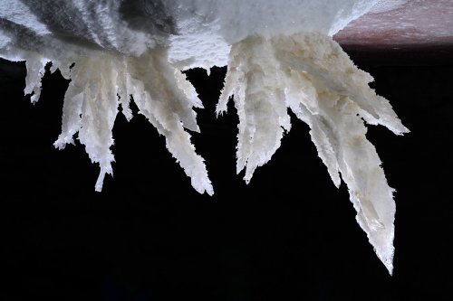 Grotte de Geophysicheskaya (Turkménistan) - Galerie rouge : cristaux géants de gypse au plafond (SP-24-1195)