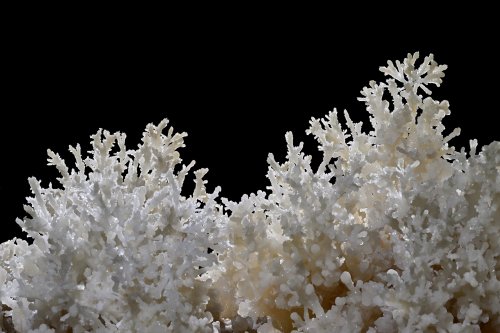 Grotte de Geophysicheskaya (Turkménistan) - Galerie des aiguilles : bouquets d'aragonite aciculaire (SP-24-1228)