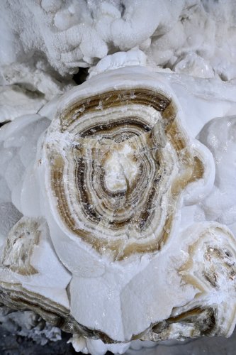 Grotte de Promeszutocyana / Intermédiaire (Turkménistan) - Concrétion coupée sur une paroi avec les stries de croissance.(SP-24-1255)